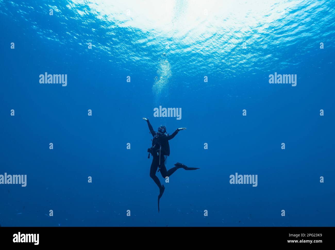 Il subacqueo galleggia al Mare di banda durante una sosta di sicurezza obbligatoria Foto Stock