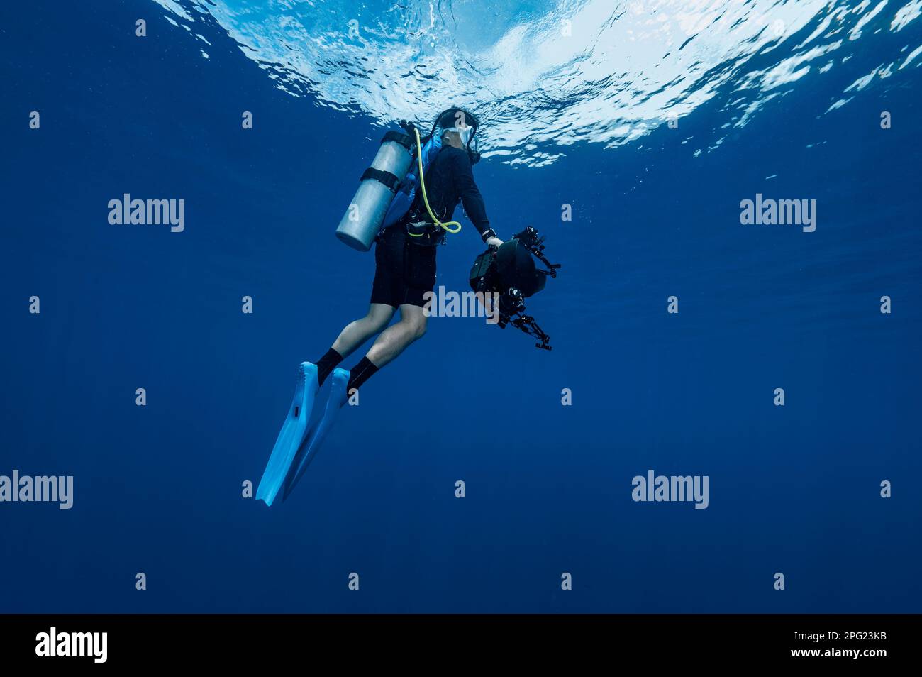 Il subacqueo galleggia al Mare di banda durante una sosta di sicurezza obbligatoria Foto Stock