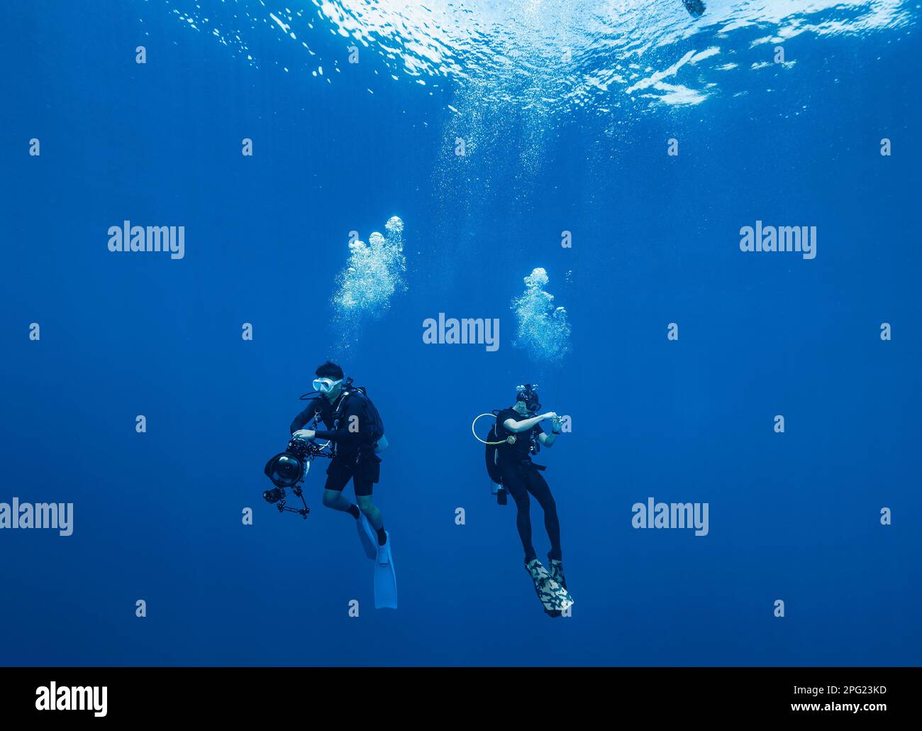 I subacquei galleggiano al Mare di banda durante una sosta di sicurezza obbligatoria Foto Stock