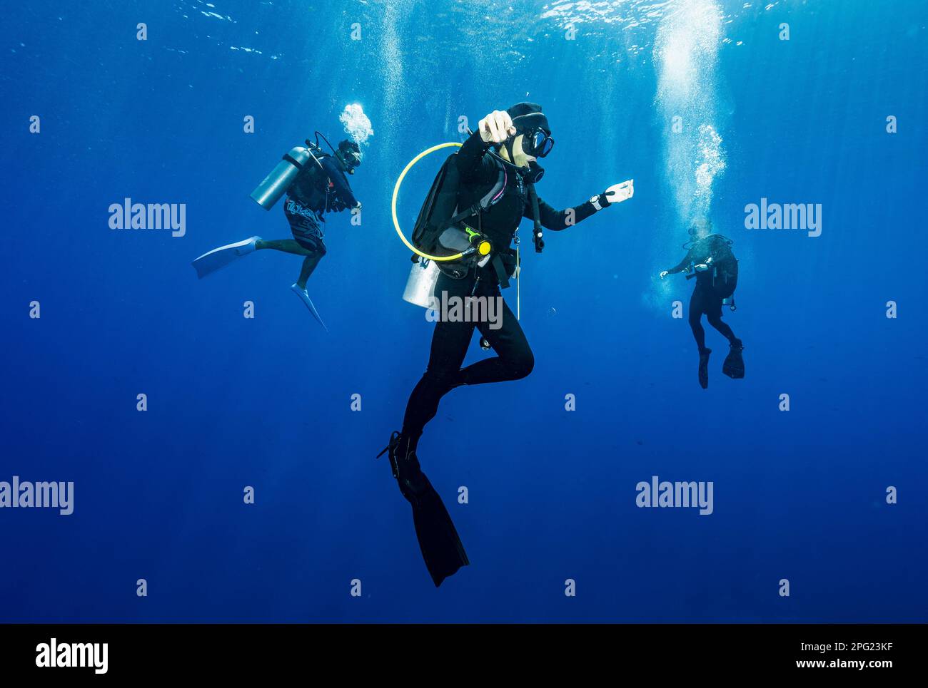 Il subacqueo galleggia nel Mare di banda durante una sosta di sicurezza obbligatoria Foto Stock