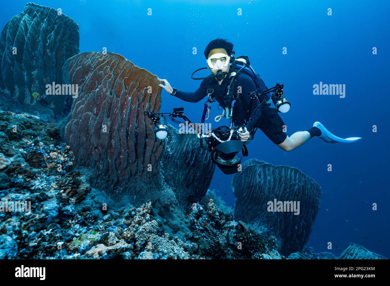 Fotografo subacqueo che esplora una barriera corallina al Mare di banda Foto Stock