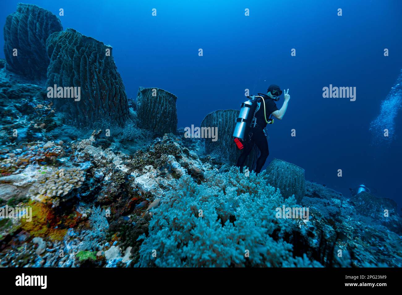 Subacqueo in piedi sul fondo del Mare di banda Foto Stock