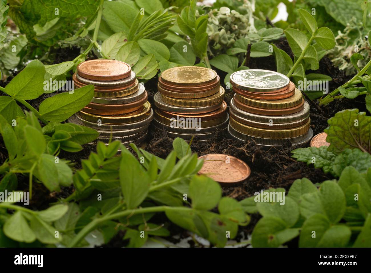 Tre pile di monete, circondate da terreno (terreno in crescita) e nuove foglie di piante verdi (crescita di recupero) Foto Stock