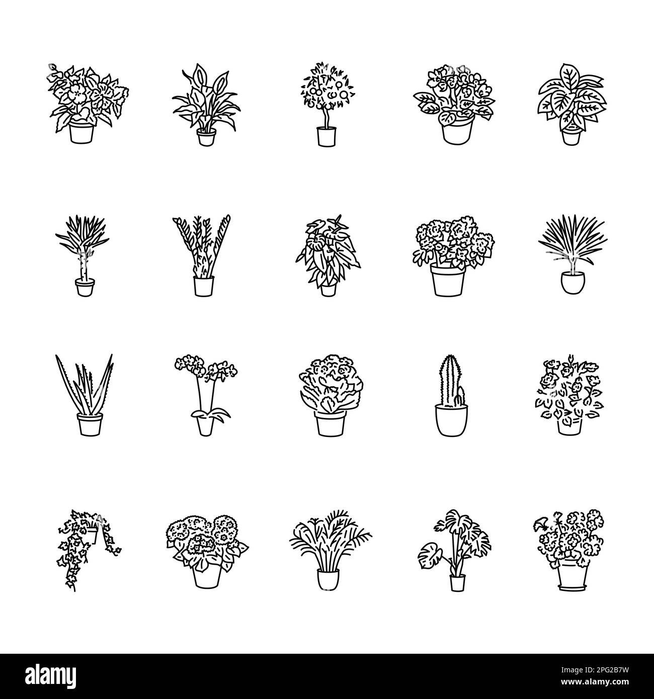 Houseplants serie di icone linea nera. Pittogrammi per pagina Web, app mobile, promo. Illustrazione Vettoriale