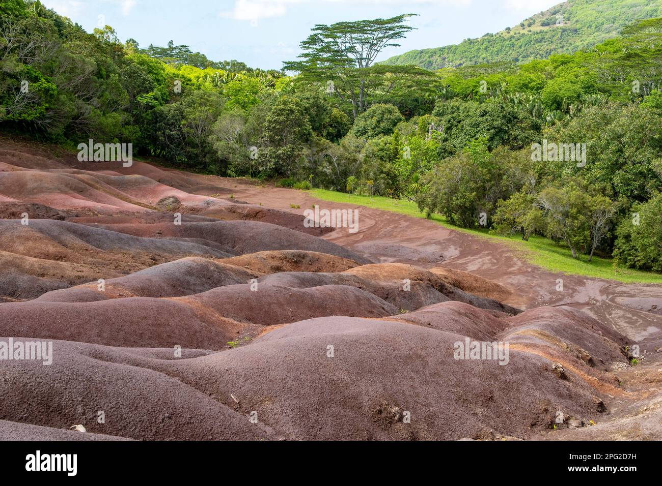 Chamarel Terra colorata, Chamarel, Mauritius Foto Stock