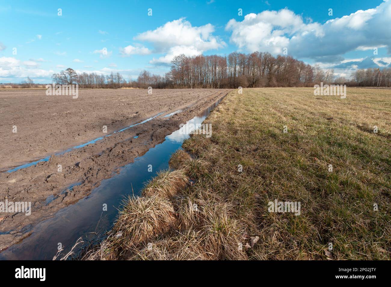 Acqua in un campo arato accanto a un prato e nuvole sul cielo blu Foto Stock