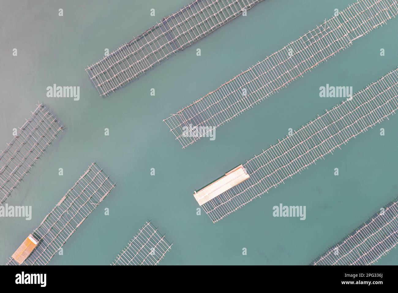 Azienda agricola Ebro Delta. Cozze e ostriche impianti di acquacoltura nella regione del delta dell'Ebro in Spagna. Foto Stock