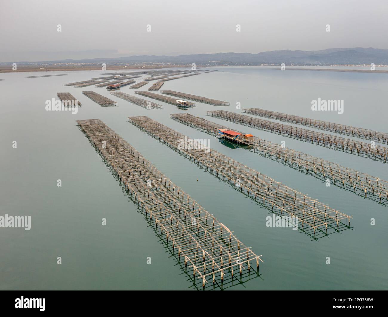 Azienda agricola Ebro Delta. Cozze e ostriche impianti di acquacoltura nella regione del delta dell'Ebro in Spagna. Foto Stock