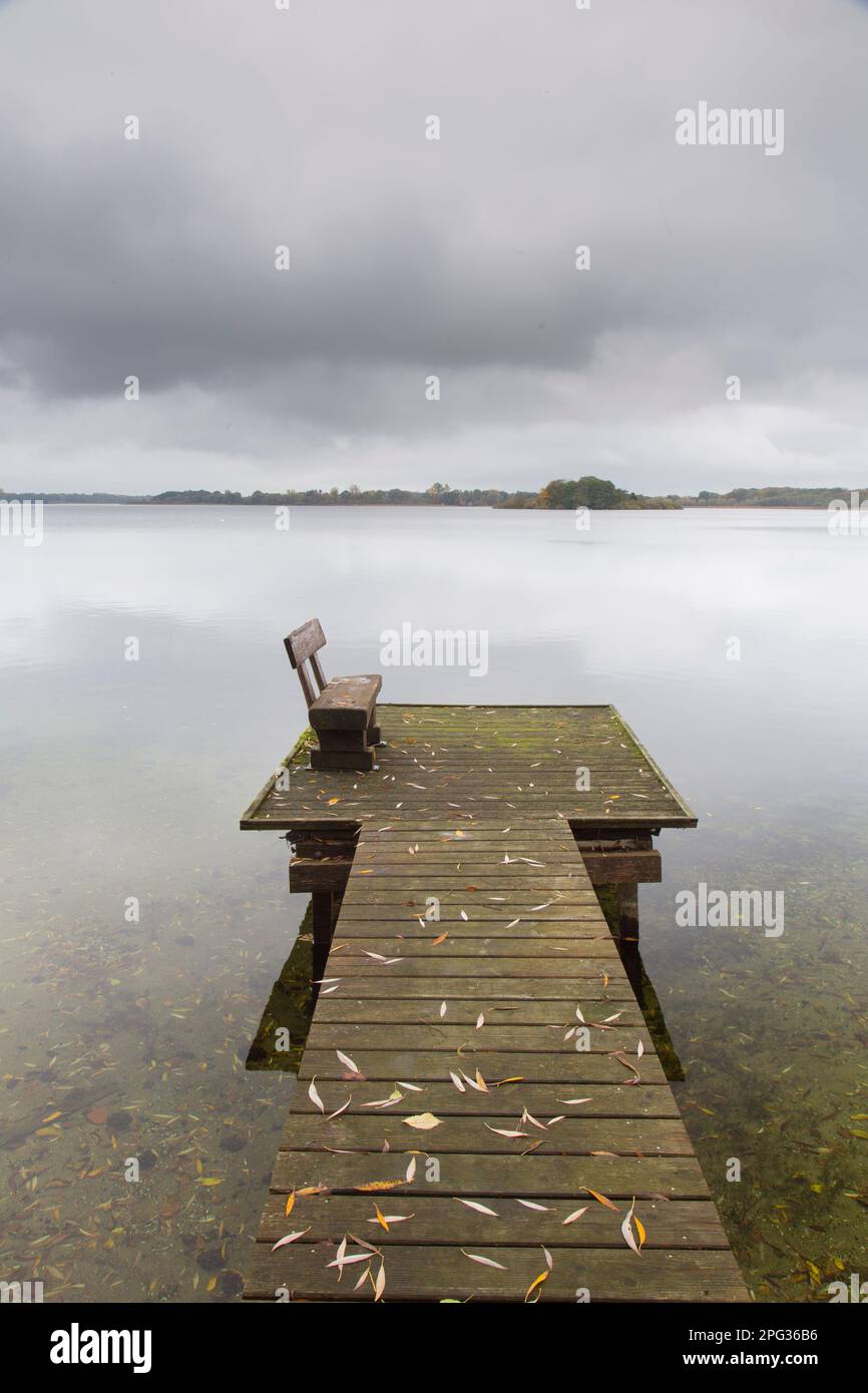 Jetty e panchina al lago Schaalsee in autunno. Schleswig-Holstein, Germania Foto Stock