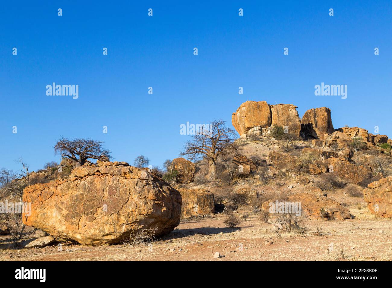 Panorama roccioso con alberi di baobab nel Parco Nazionale di Mapungubwe Foto Stock