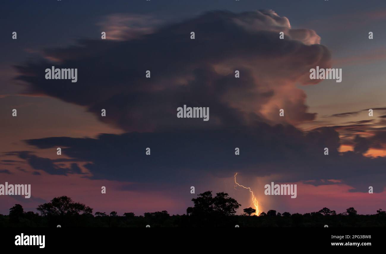 Vista panoramica di una nuvola cumulo-nimbus al crepuscolo con fulmini che colpiscono il terreno sotto Foto Stock