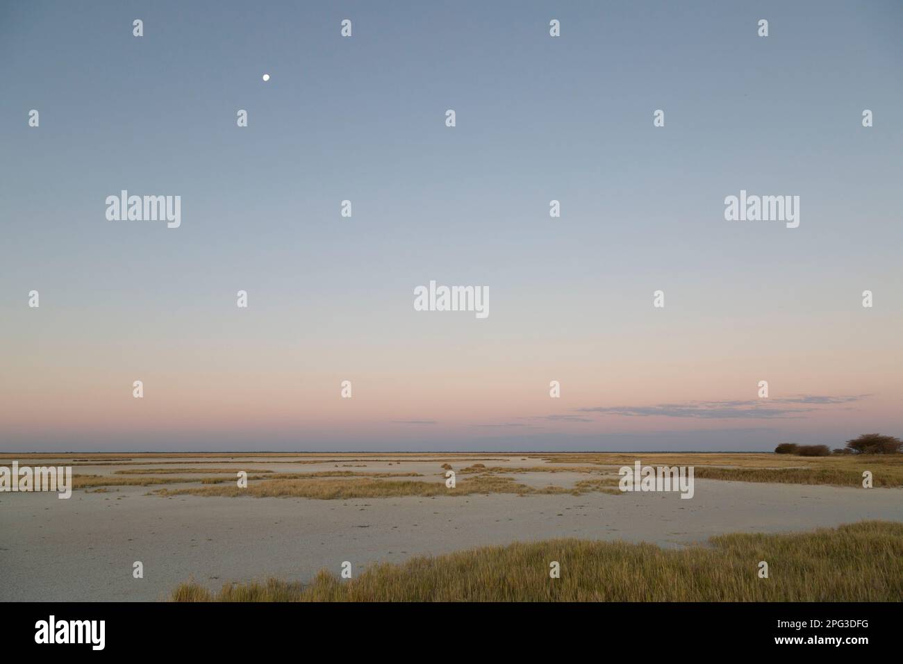 Moody Makgadikgadi paesaggio con una luna piena al crepuscolo Foto Stock