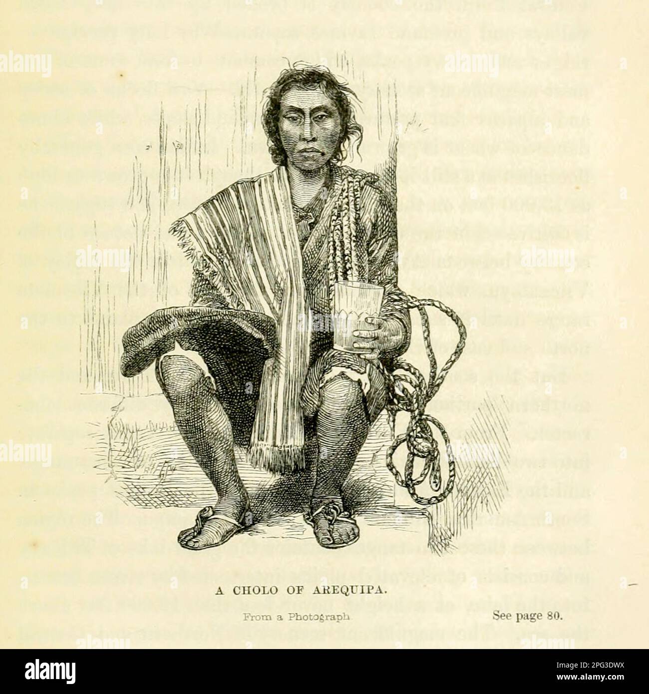 Un Cholo indiano di Arequipa dal libro Viaggi in Perù e India mentre sovrintende alla raccolta di piante e semi di chinchona in Sud America, e la loro introduzione in India da Sir Clements Robert Markham, 1830-1916 Data di pubblicazione 1862 Editore Londra : Murray cinchona è stato storicamente ricercato per il suo valore medicinale, come la corteccia di diverse specie produce chinino e altri alcaloidi. Queste sono state le uniche terapie efficaci contro la malaria durante il culmine del colonialismo europeo, che le ha rese di grande importanza economica e politica. Gli alberi nel genere sono ali Foto Stock