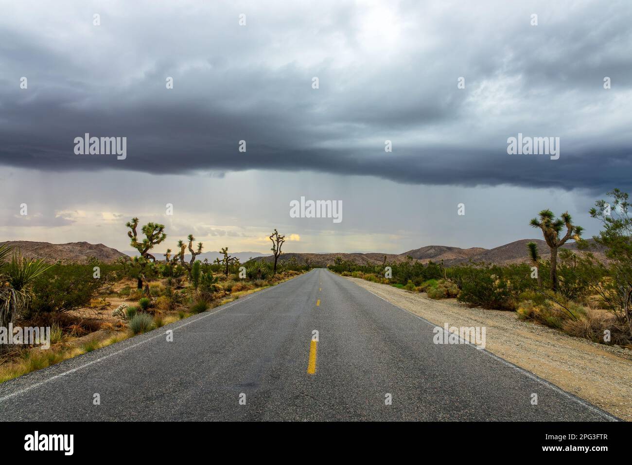 Strada e cielo scuro durante una tempesta nel parco nazionale Joshua Tree, California Foto Stock