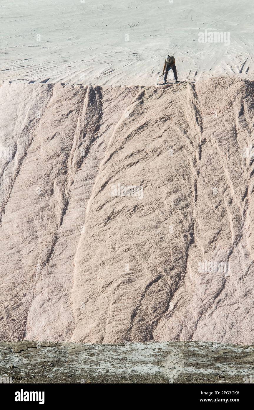 Vendemmia industria del sale a Pampas Saline, Provincia di la Pampa, Patagonia, Argentina. Foto Stock