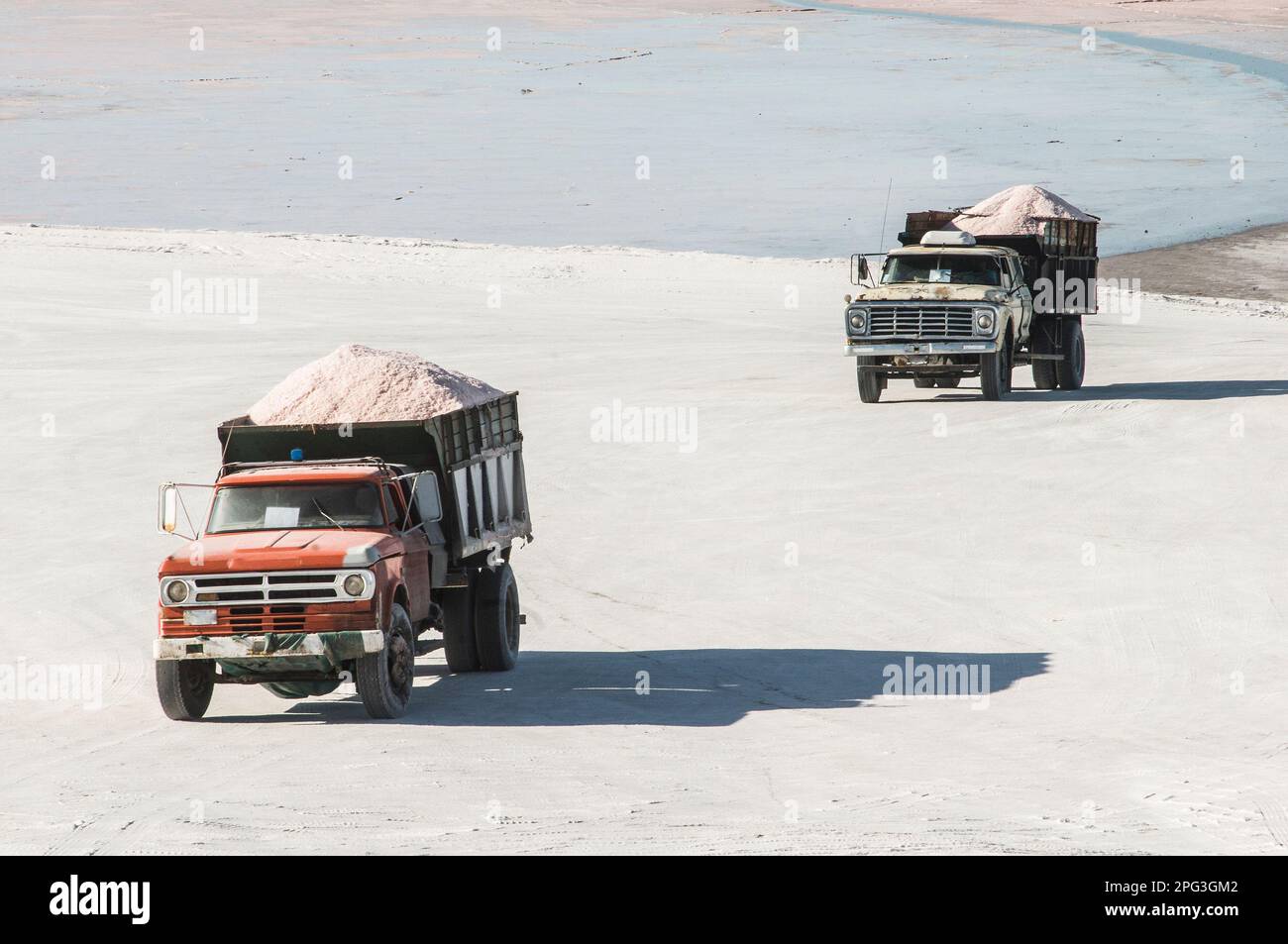 Vendemmia industria del sale a Pampas Saline, Provincia di la Pampa, Patagonia, Argentina. Foto Stock