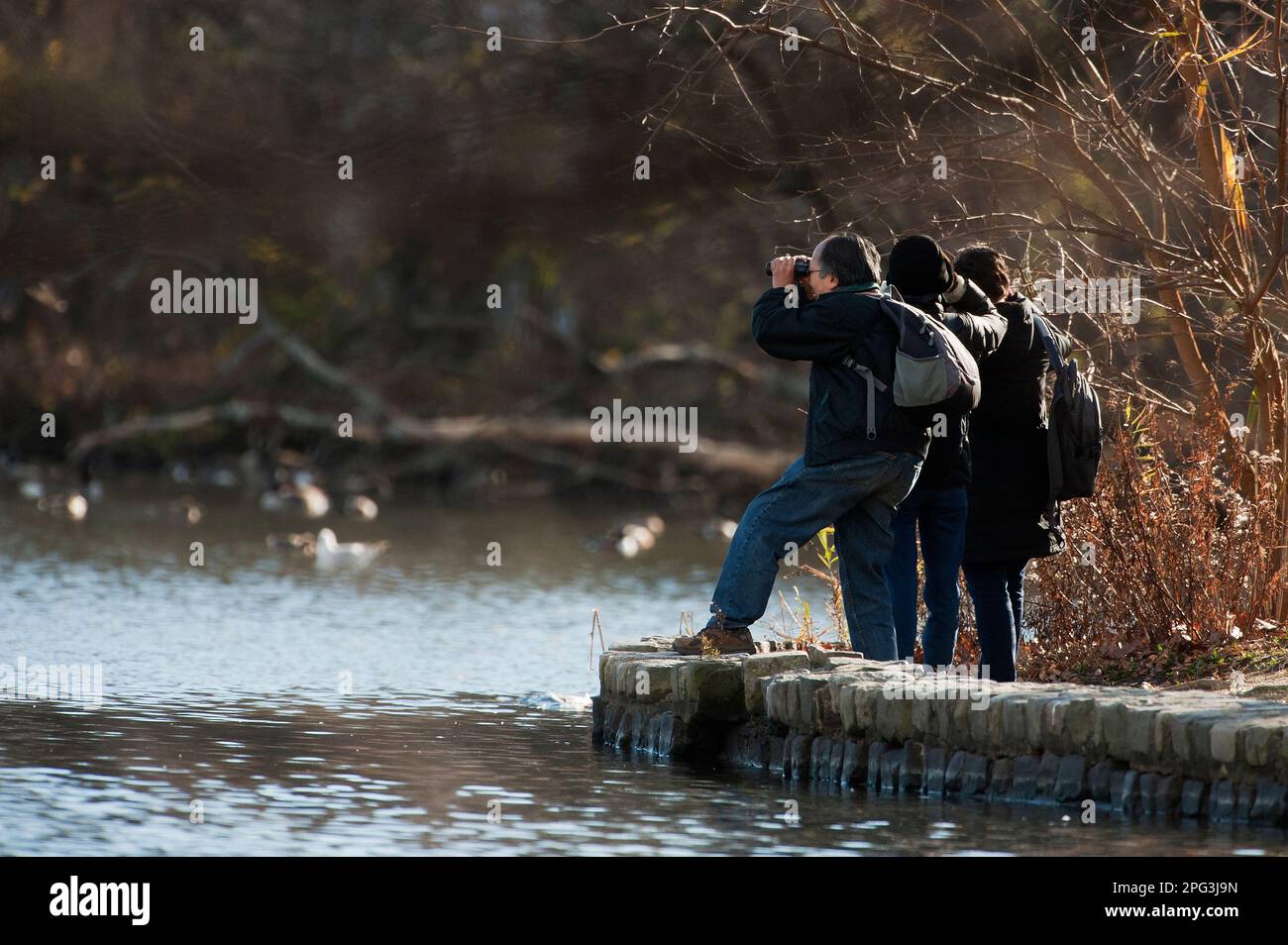 Birdwatchers al Prospect Park, Brooklyn New York City Foto Stock