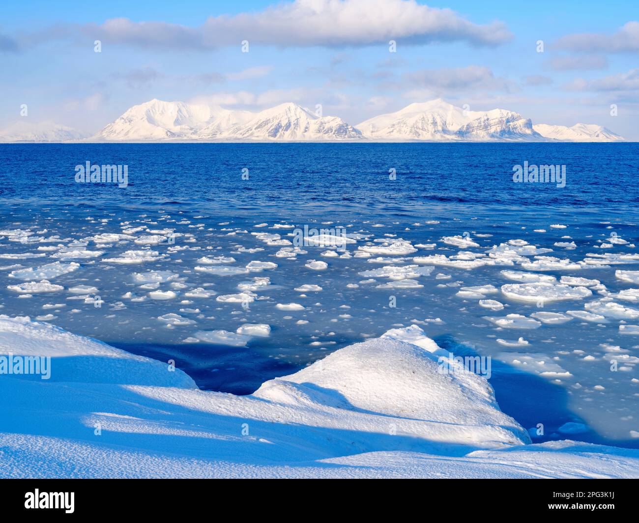 Costa con ghiaccio di pancake vicino a Kapp Linne a fjord Isfjorden vicino a Isfjord radio, Isola di Spitsbergen, parte dell'arcipelago di Svalbard. Sfondo mountai Foto Stock