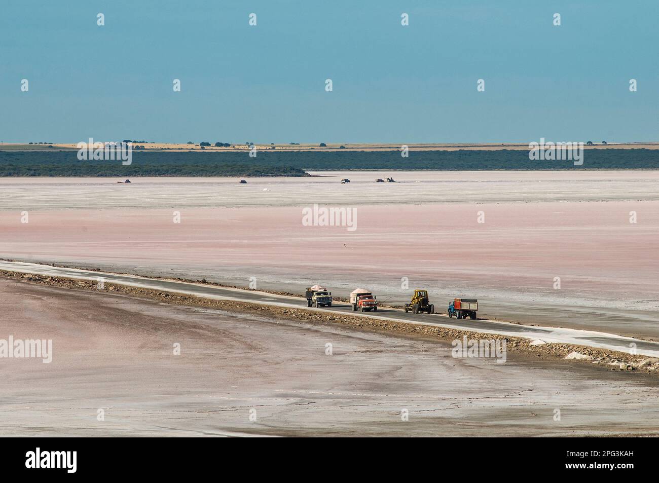 Vendemmia industria del sale a Pampas Saline, Provincia di la Pampa, Patagonia, Argentina. Foto Stock