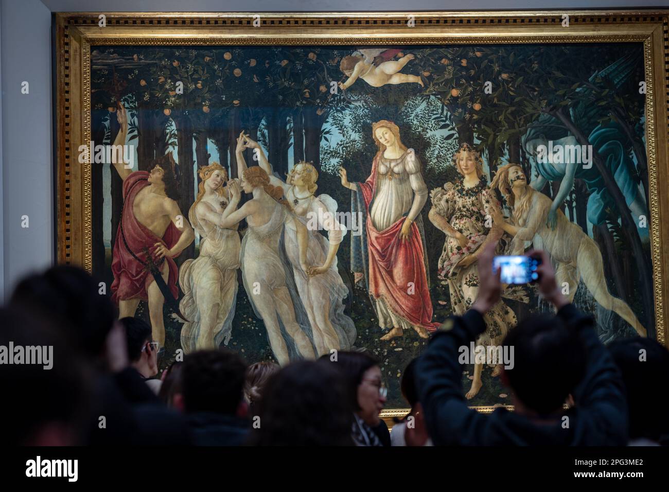 La Primavera, che significa Primavera, dipinta da Sandro Botticelli in mostra alla Galleria degli Uffizi a Firenze. Foto Stock