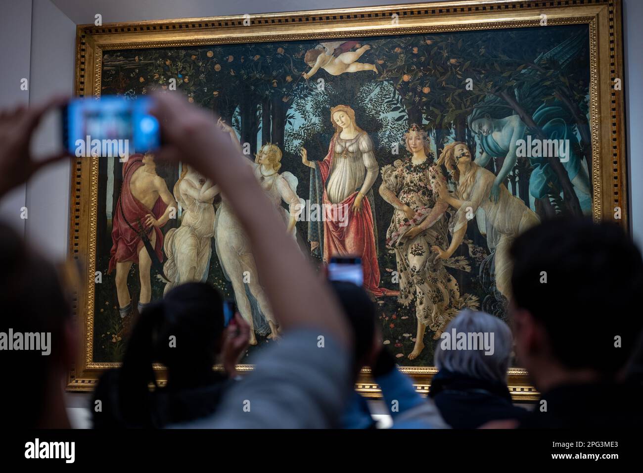 La Primavera, che significa Primavera, dipinta da Sandro Botticelli in mostra alla Galleria degli Uffizi a Firenze. Foto Stock