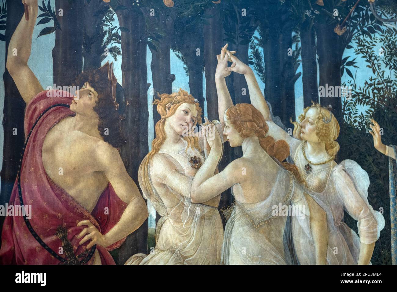 La Primavera, che significa Primavera, dipinta da Sandro Botticelli in mostra alla Galleria degli Uffizi a Firenze. Foto Stock