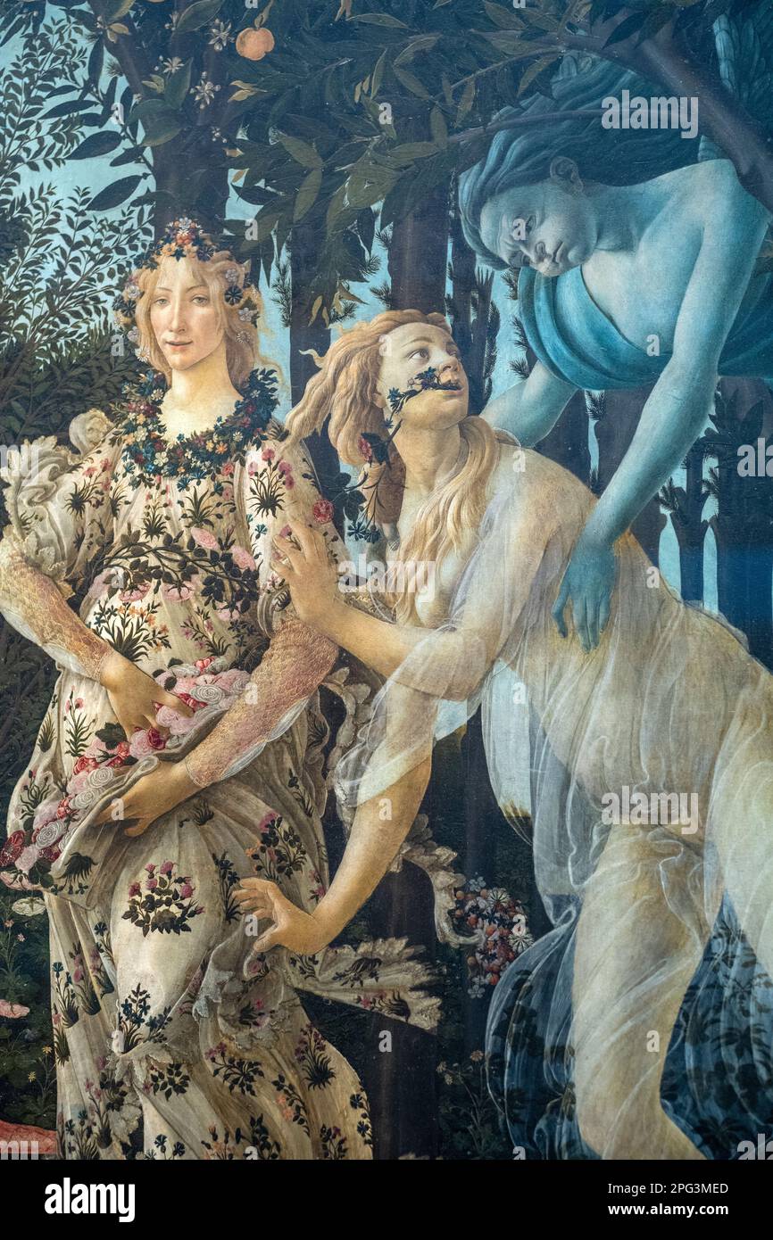 La Primavera, che significa Primavera, dipinta da Sandro Botticelli in mostra alla Galleria degli Uffizi a Firenze. Foto Stock