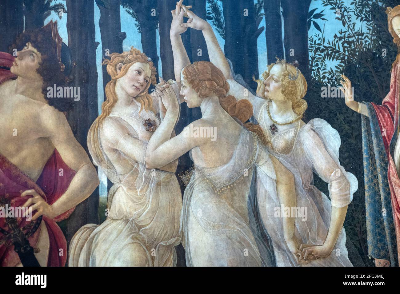 La Primavera, che significa Primavera, dipinta da Sandro Botticelli in mostra alla Galleria degli Uffizi a Firenze. Foto Stock