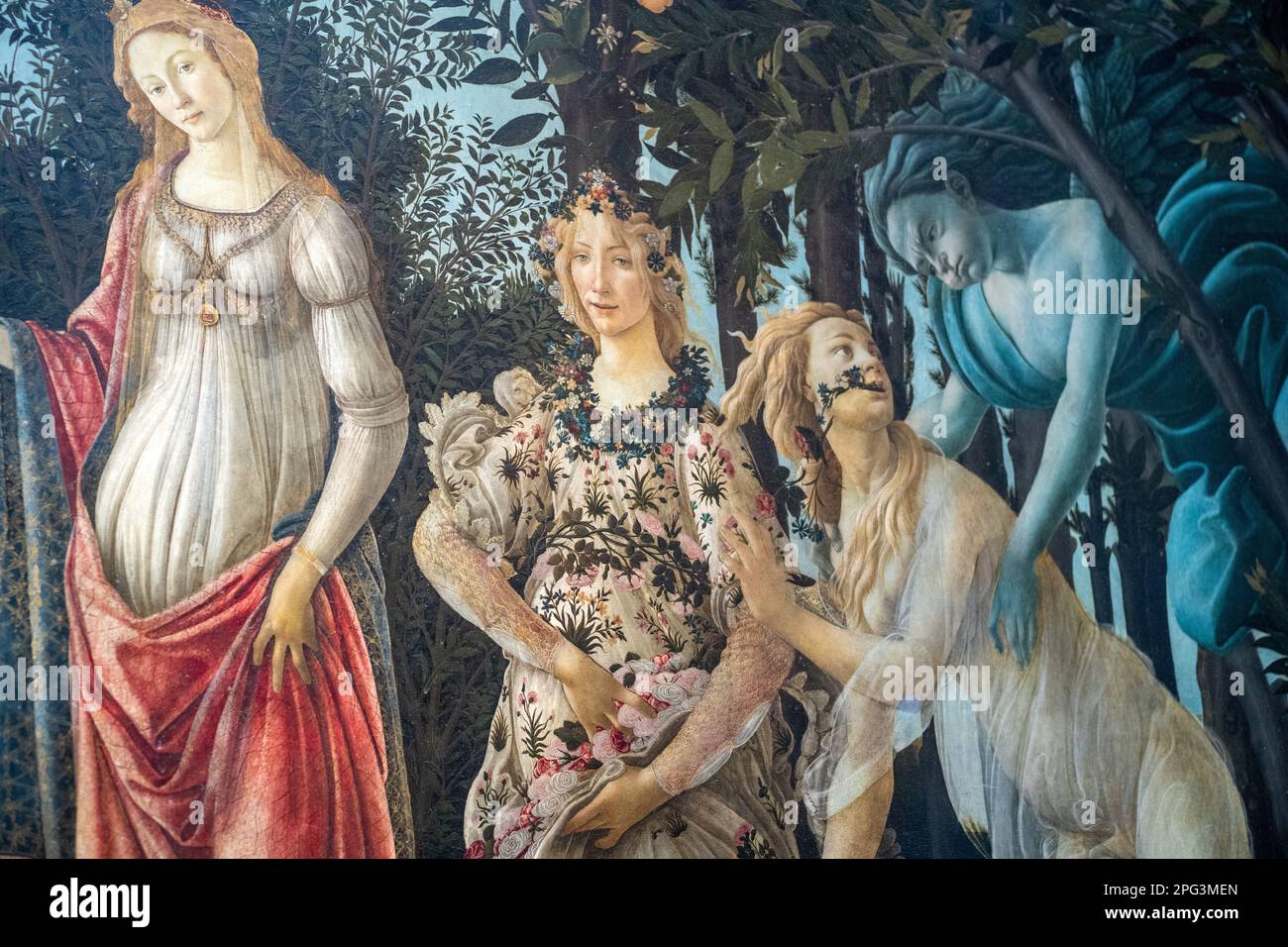 La Primavera, che significa Primavera, dipinta da Sandro Botticelli in mostra alla Galleria degli Uffizi a Firenze. Foto Stock