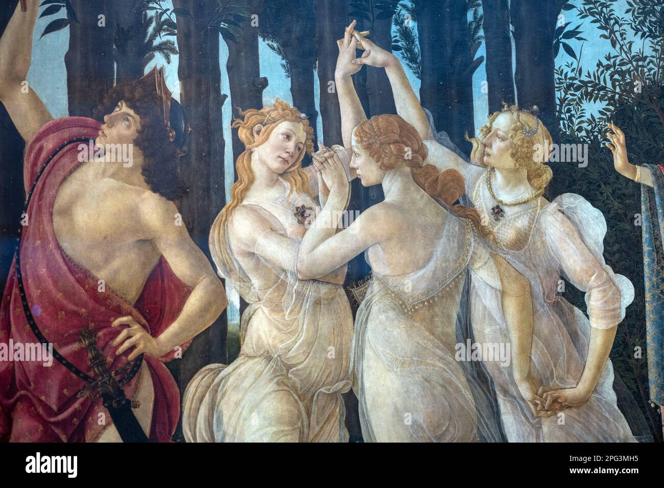 La Primavera, che significa Primavera, dipinta da Sandro Botticelli in mostra alla Galleria degli Uffizi a Firenze. Foto Stock