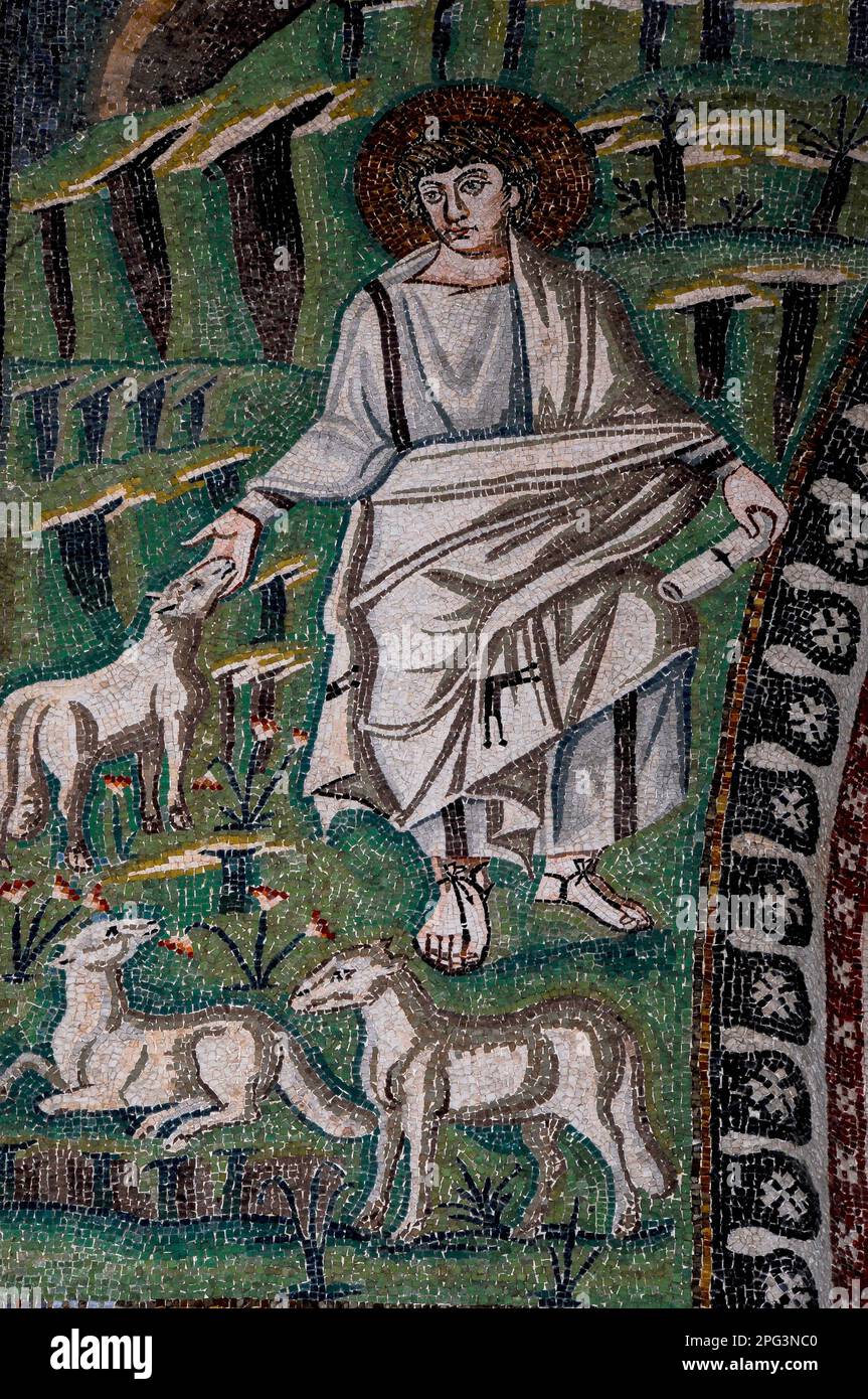 Mosè, la sua mano nuzzata da una pecora, custodisce le greggi del suocero, Jethro, in un mosaico bizantino alla fine del 500s d.C. nella Basilica di San vitale a Ravenna, Emilia-Romagna, Italia. Il mosaico fu creato alla fine degli anni '500s, pochi anni dopo che Ravenna era stata catturata dagli Ostrogoti dall'Impero Bizantino o Romano d'Oriente. Foto Stock