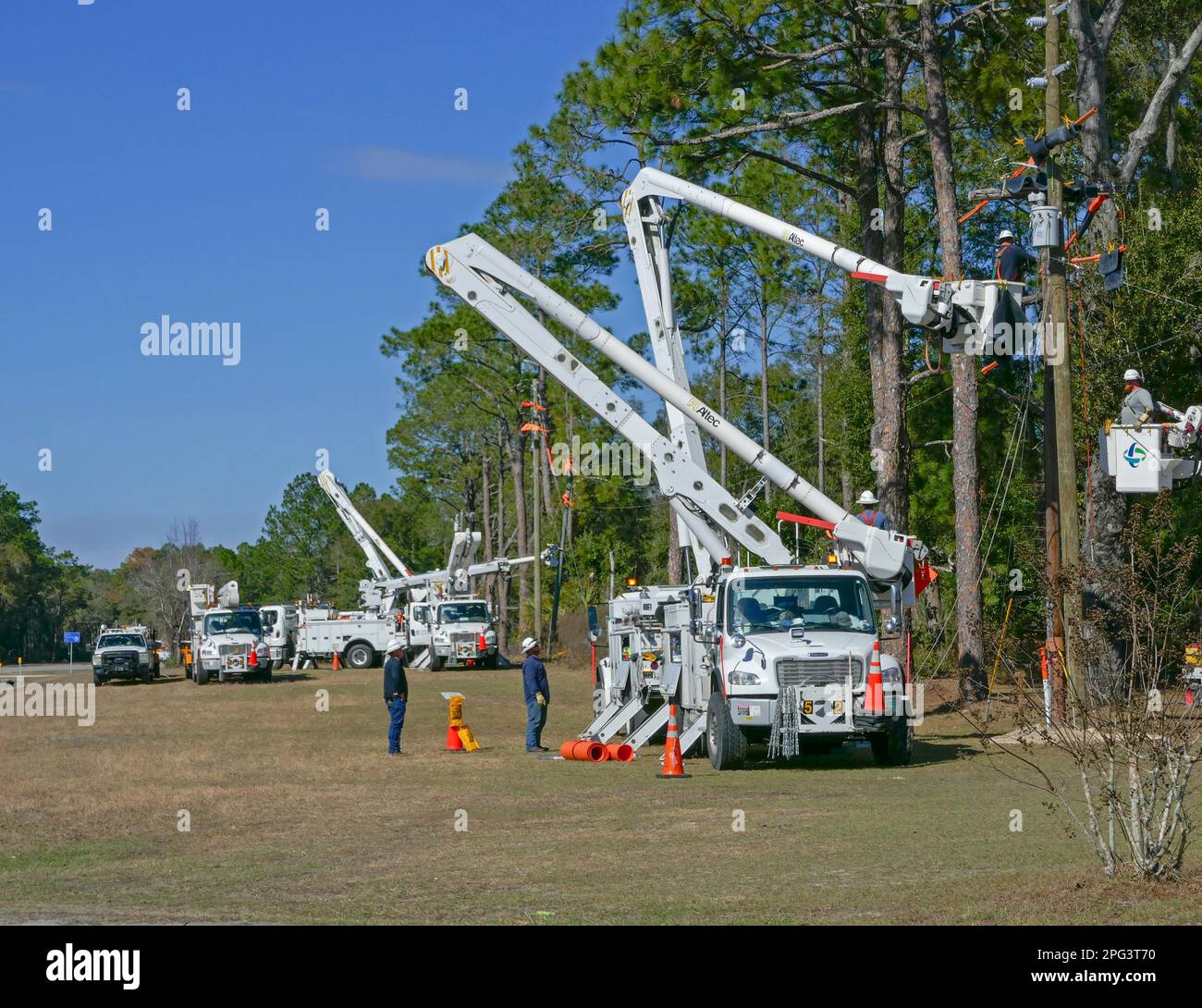 Più unità di linemen elettrici al lavoro nel nord della Florida centrale. Foto Stock