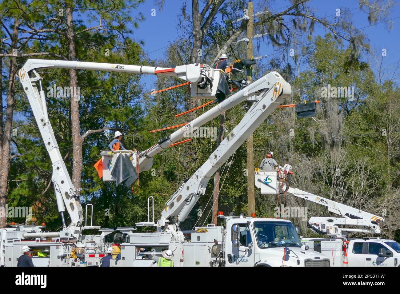 Più unità di linemen elettrici al lavoro nel nord della Florida centrale. Foto Stock