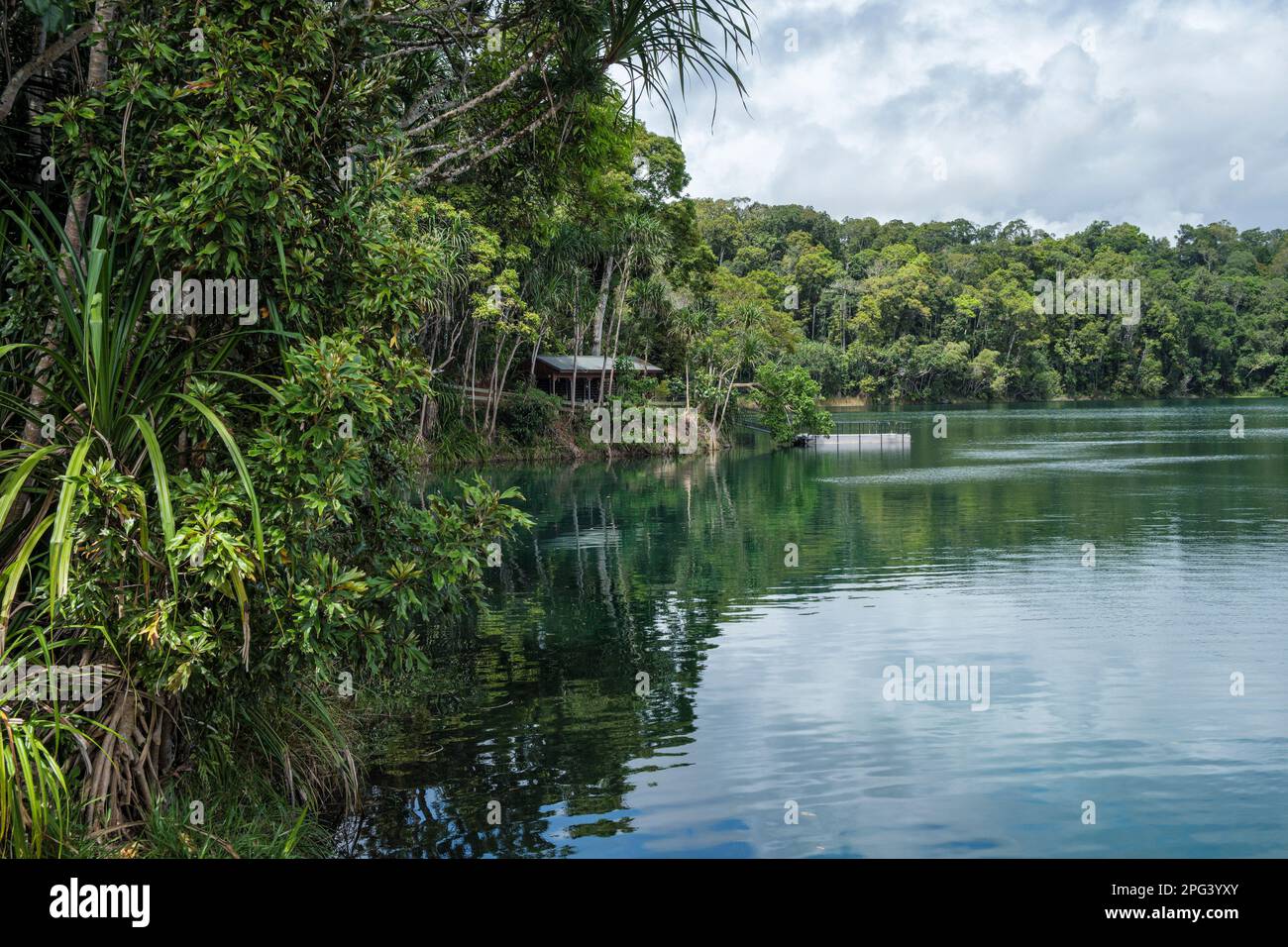 Lago Eacham, laghi cratere National Park, altopiano di Atherton, Queensland, Australia Foto Stock