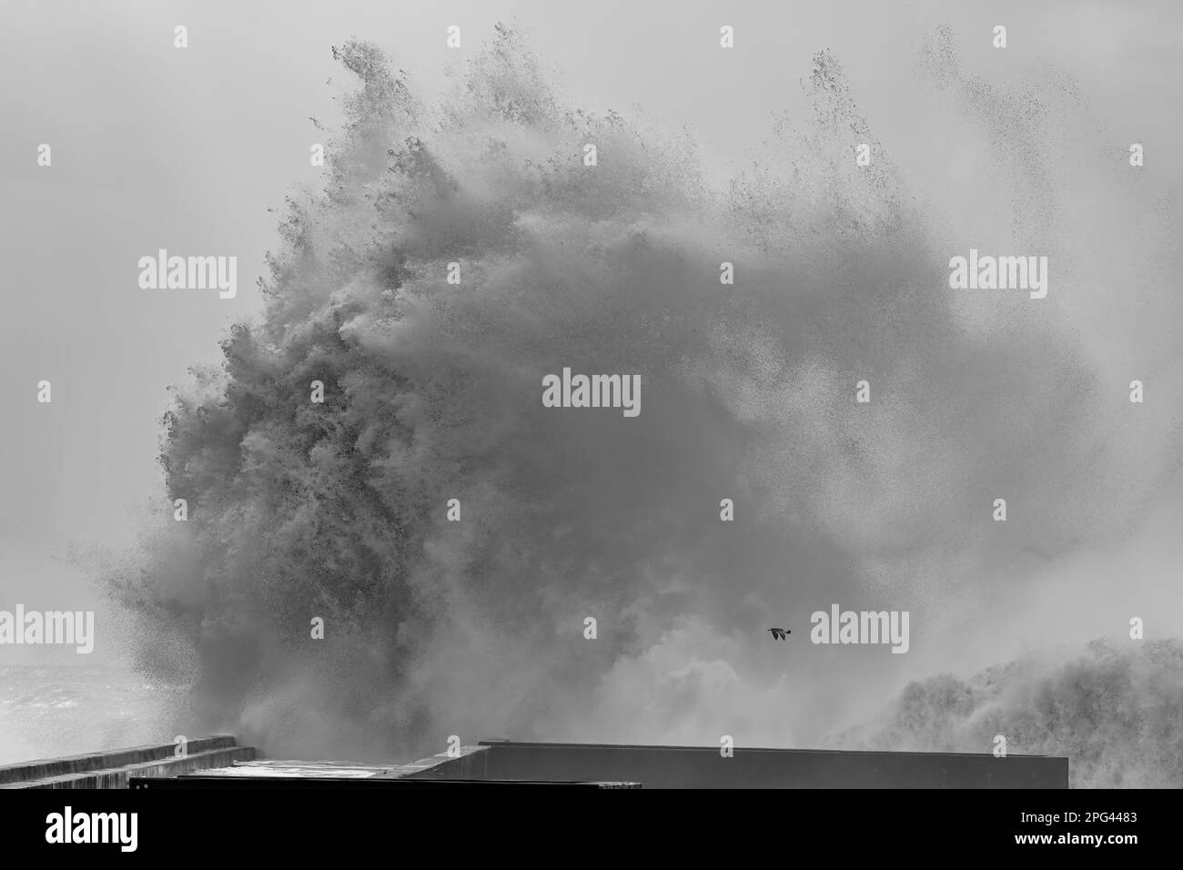 Douro bocca del fiume molo sud e faro sotto la tempesta pesante vedere il vento spray da grandi onde in crash, Porto, Portogallo Foto Stock