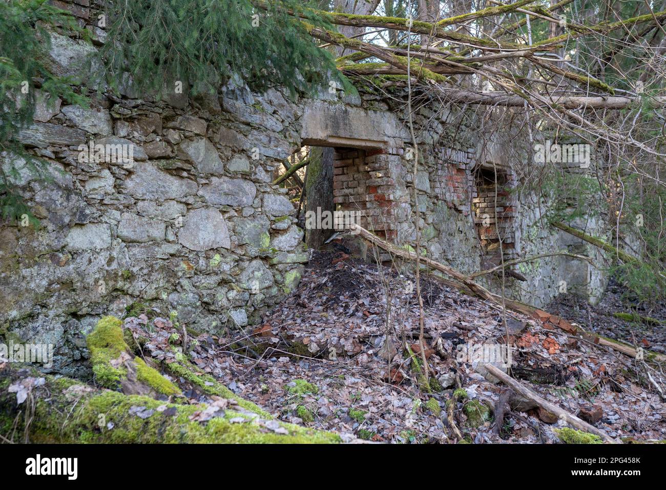 Resti rovinati di rifugio di caccia e castello di Walddorf in un villaggio abbandonato Walddorf, Upper Palatine Forest, repubblica Ceca. Foto Stock