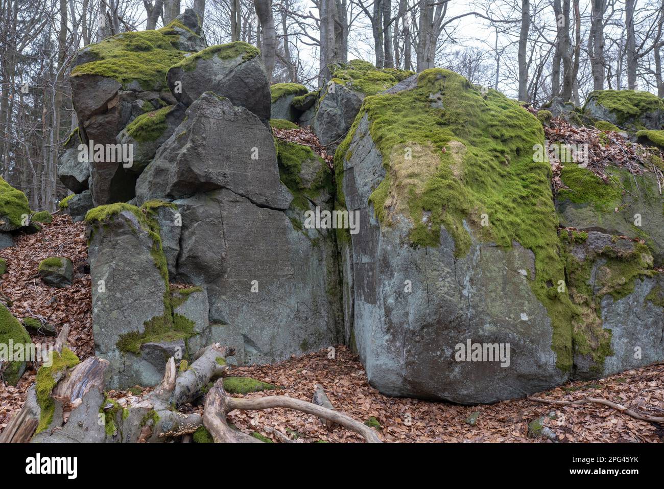 'Kocovy kameny' ('pietre di Kotz'), formazione rocciosa su Velký Zvon (Plattenberg) con incisioni sulle visite turistiche della nobile famiglia locale nel 19th c.. Foto Stock
