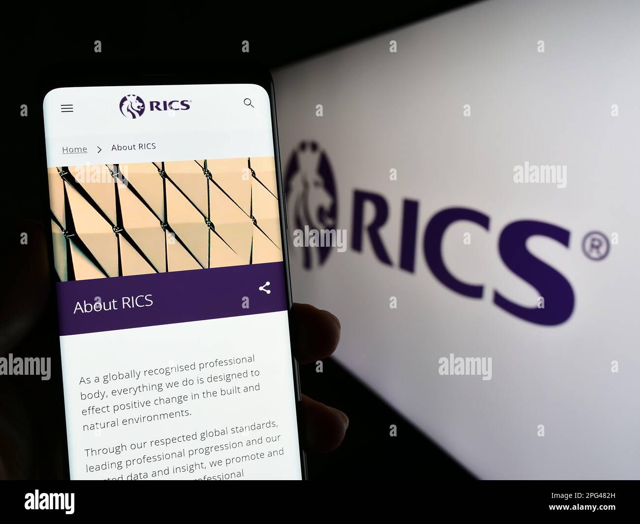 Persona che tiene il cellulare con pagina web della Royal Institution of Chartered Surveyors (RICS) sullo schermo con logo. Messa a fuoco al centro del display del telefono. Foto Stock