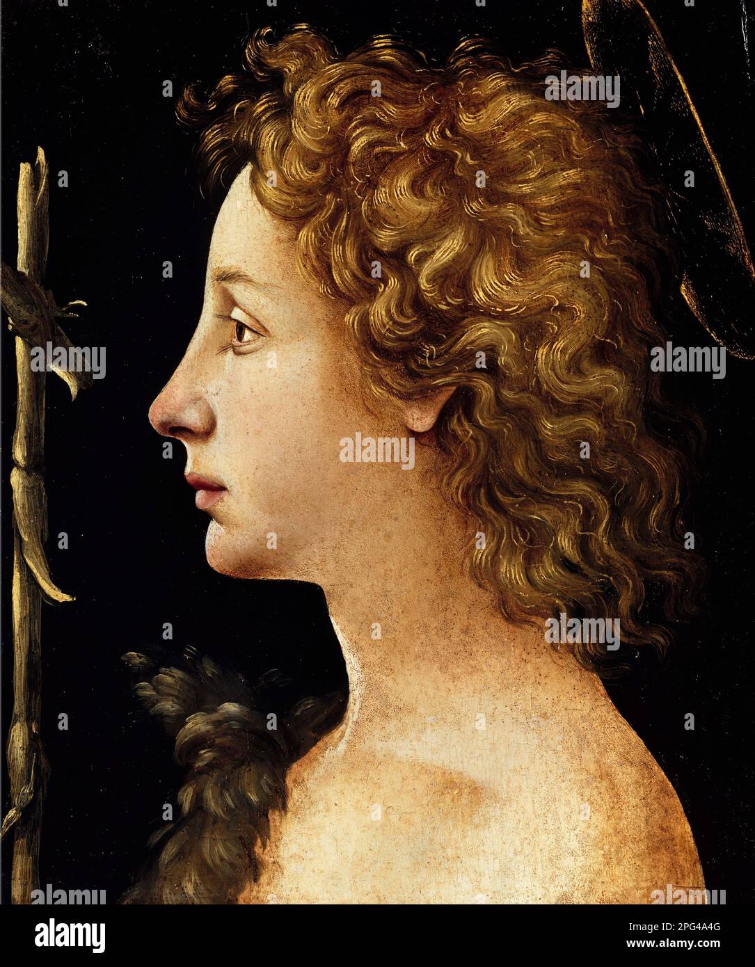 Il giovane San Giovanni Battista del pittore rinascimentale italiano Piero di Cosimo (1462-1522), tempera e olio su legno, 1480-82 Foto Stock