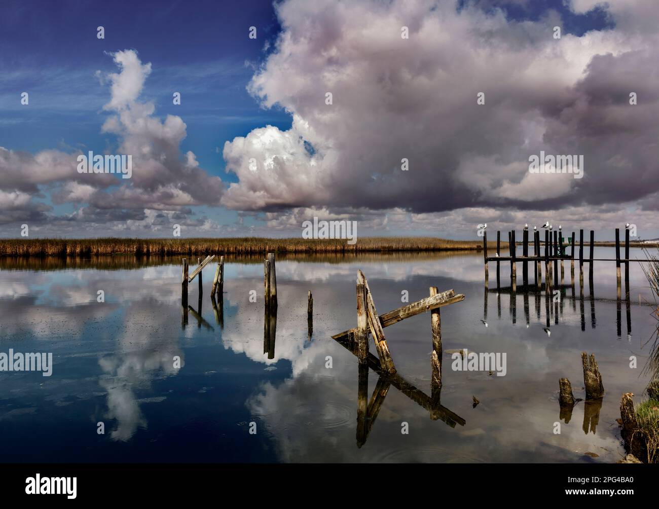 Nuvole pomeridiane si costruiscono sopra l'estuario del fiume Berg vicino al porto di pescatori di Veldddrif sulla costa occidentale di Atlantoc in Sudafrica. Foto Stock