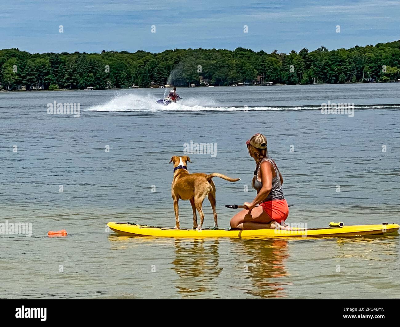 Ragazza e cane in piedi su una tavola da pagaia su un tranquillo sci di lakelet Foto Stock