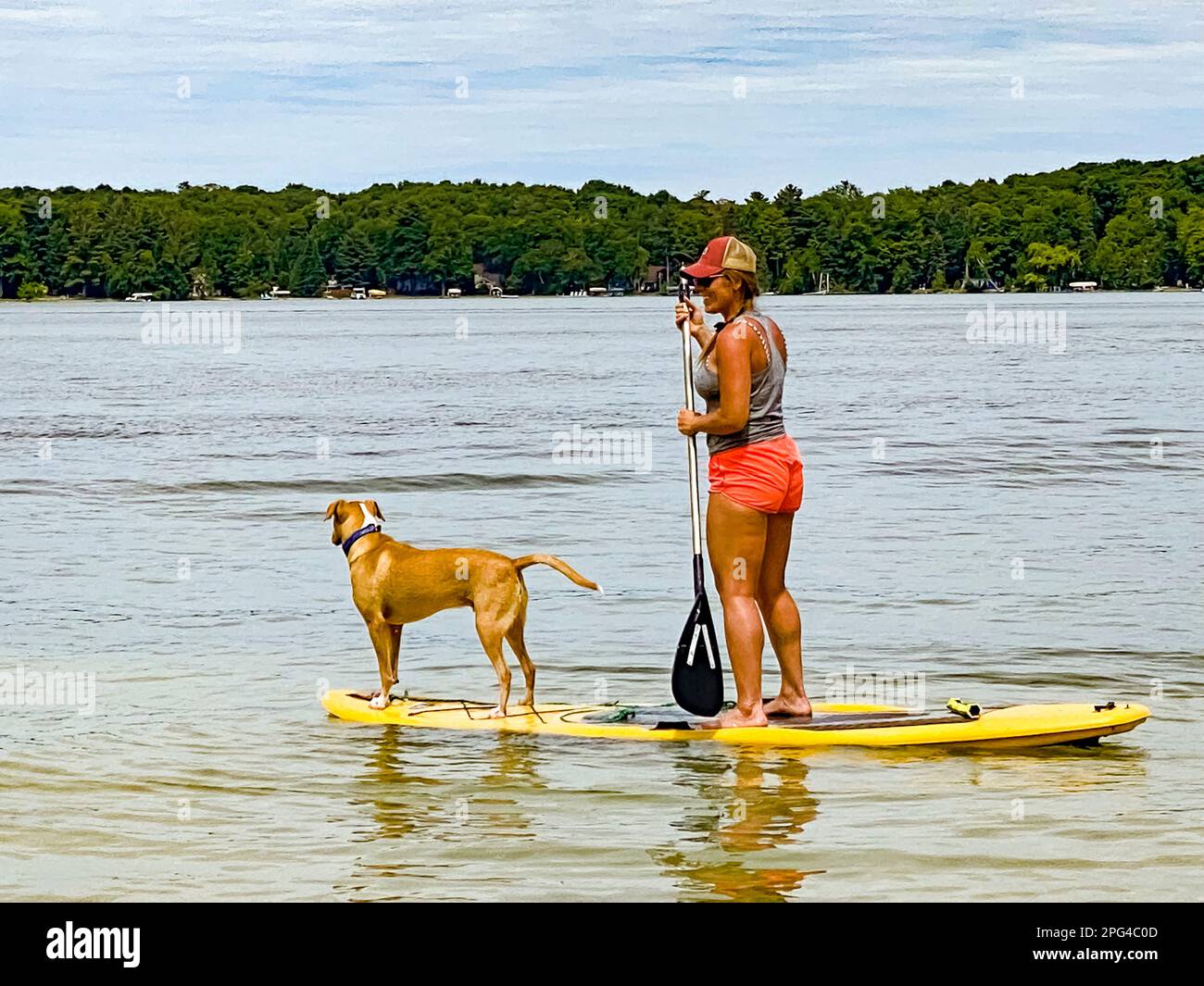 Ragazza e cane in piedi su una tavola da pagaia su un tranquillo sci di lakelet Foto Stock