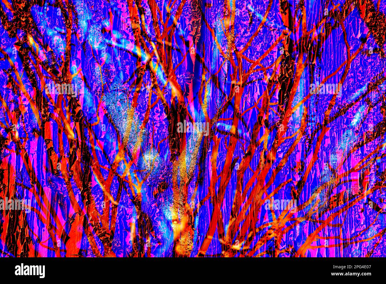 doppia esposizione, alberi e una porta rossa di siero di latte Foto Stock