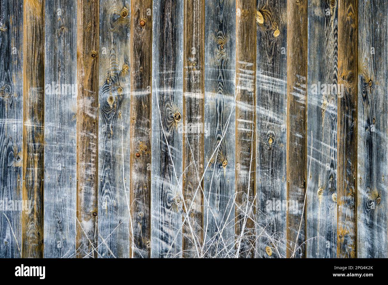 Vecchio muro di legno con tracce di graffio Foto Stock