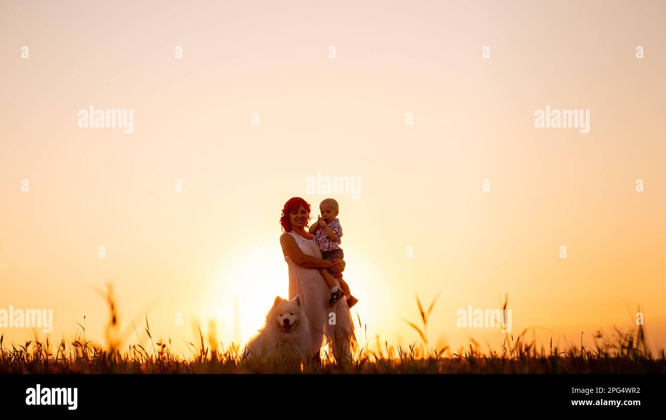 La silhouette delle madri con il figlio in braccio e Samoyed al tramonto sul campo. Sfondo naturale arancione. Vista panoramica. In viaggio con bambini, animali domestici Foto Stock