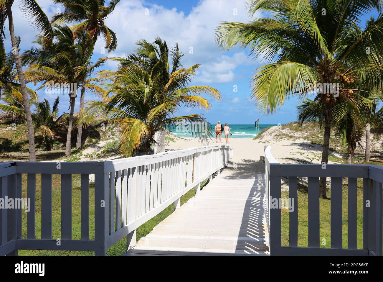 Vista pittoresca sulla spiaggia tropicale con sabbia bianca e palme da cocco. Sentiero in legno per la costa dell'oceano, località turistica sull'isola dei Caraibi Foto Stock