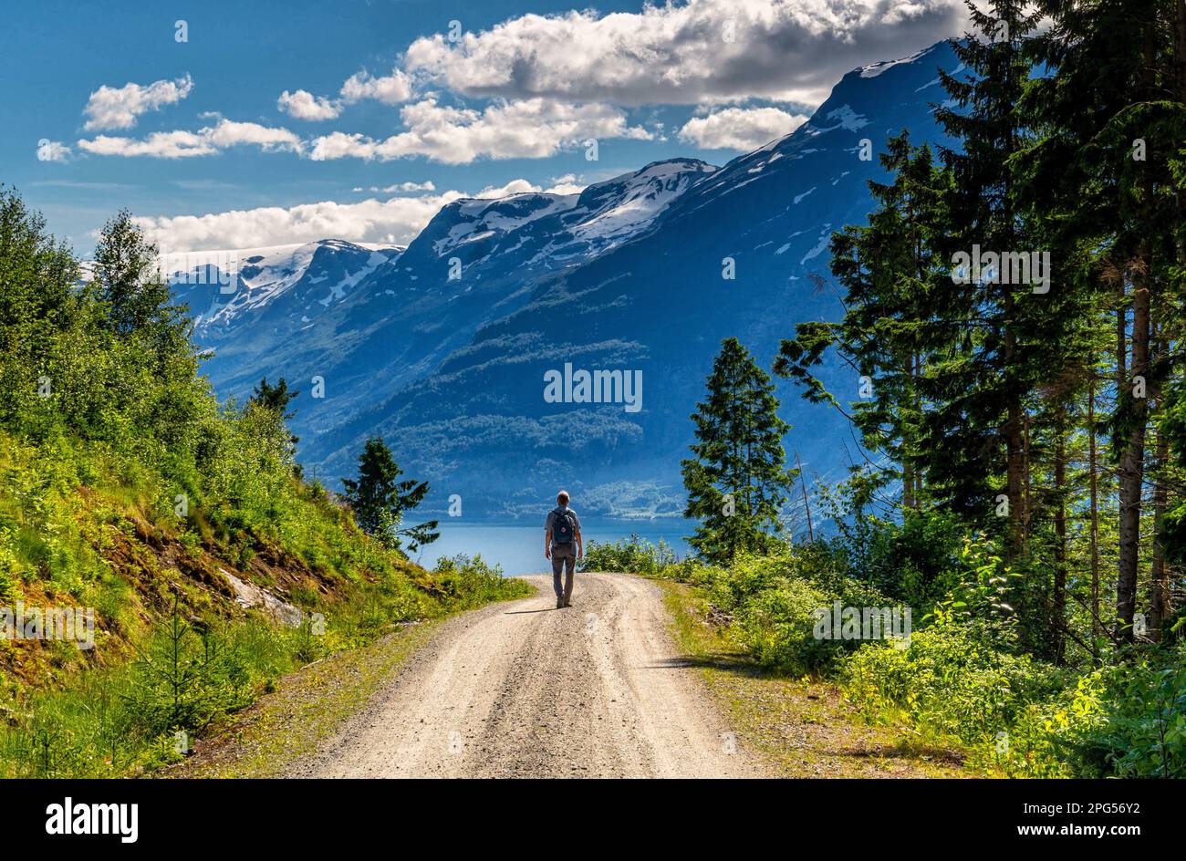 Hardangerfjorden, Odda, Norvegia Foto Stock