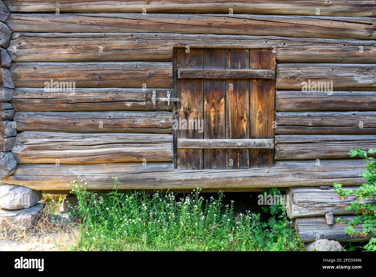 Tradizionale muro in legno con piccola finestra con persiane e erba in primo piano, Oslo, Norvegia. Foto Stock