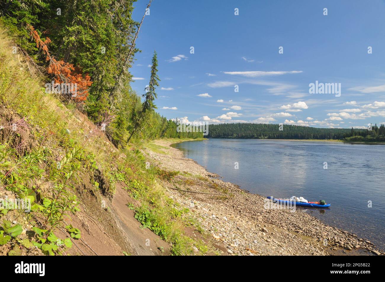 Parco Nazionale Yugyd-va, sito UNESCO 'foreste vergini di Komi'. La più grande serie di foreste primarie del nord in Europa. Foto Stock