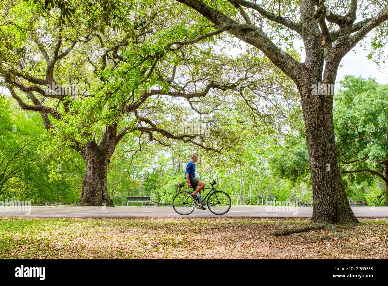 NEW ORLEANS, LA, USA - 16 MARZO 2023: Il ciclista maschile percorre la pista ciclabile all'Audubon Park senza mani Foto Stock